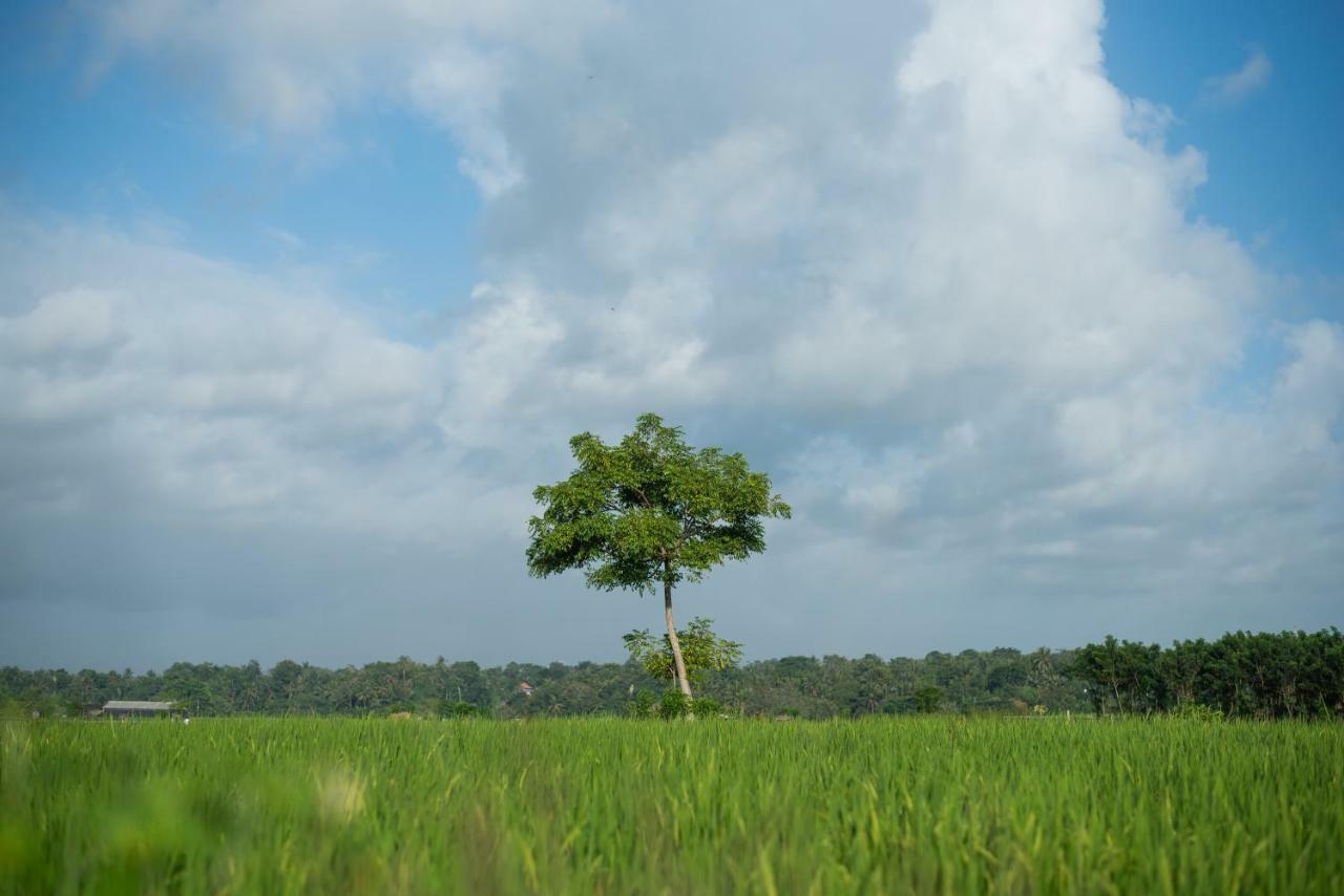 Swahita Ubud Bagian luar foto